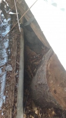 IMG_20180410_161952020.jpg (76.57 KiB) Osservato 1090 volte IMG_20180410_161952020.jpg