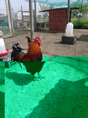 20180412_124150.jpg (205.71 KiB) Osservato 768 volte 20180412_124150.jpg