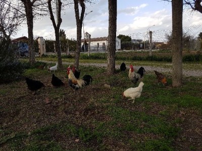 Che dici stanno stretti..? / _IMG_000000_000000.jpg _IMG_000000_000000.jpg