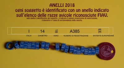 Legenda anelli FIAV.jpg (207.35 KiB) Osservato 679 volte Legenda anelli FIAV.jpg
