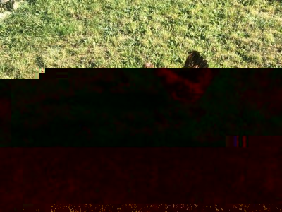 C9816EA8-A524-4485-B92B-A17CFECCA997.jpeg (283.96 KiB) Osservato 599 volte C9816EA8-A524-4485-B92B-A17CFECCA997.jpeg