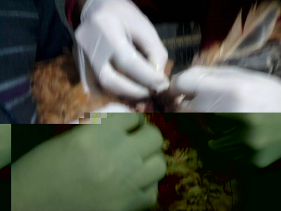 Foto-0068 - Copia.jpg (102.7 KiB) Osservato 2327 volte Foto-0068 - Copia.jpg