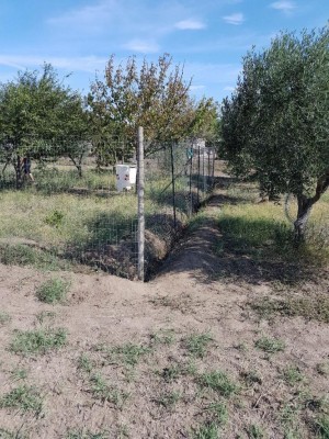 20180909_102224.jpg (223.56 KiB) Osservato 772 volte 20180909_102224.jpg