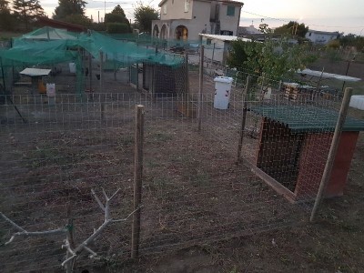 20180930_185935.jpg (114.81 KiB) Osservato 699 volte 20180930_185935.jpg