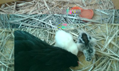 1.jpg (86.39 KiB) Osservato 721 volte 1.jpg