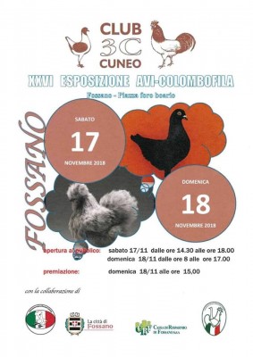 Esposizione Fossano.jpg (63.18 KiB) Osservato 625 volte Esposizione Fossano.jpg