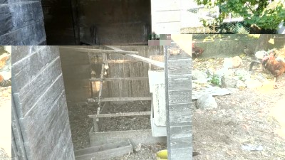 Pollaio stanza piccola / Screenshot_20181121-100337.jpg Screenshot_20181121-100337.jpg