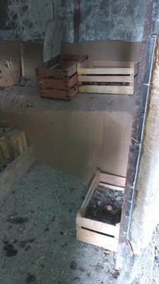 Nidi interni / P_20181103_144831.jpg P_20181103_144831.jpg