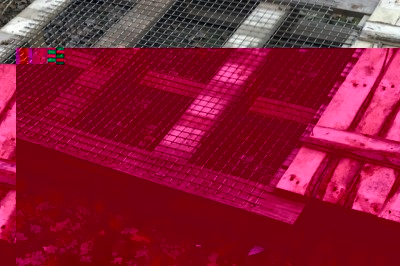 APRU7557.JPG (135.08 KiB) Osservato 1165 volte APRU7557.JPG