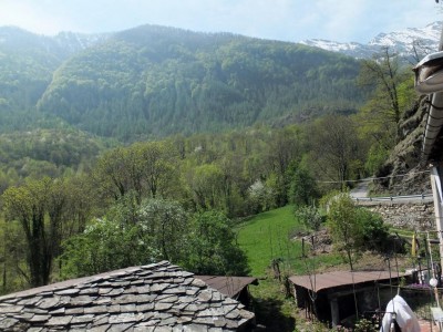 In basso a destra il primo piccolo pollaio / DSCF5314.JPG DSCF5314.JPG