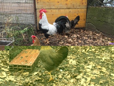 IMG_4387.JPG (205.64 KiB) Osservato 428 volte IMG_4387.JPG