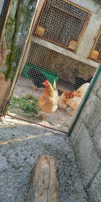 IMG_20190416_153524_HDR.jpg (165.5 KiB) Osservato 484 volte IMG_20190416_153524_HDR.jpg