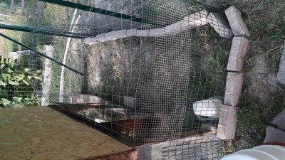 20190702_071433.jpg (157.53 KiB) Osservato 1239 volte 20190702_071433.jpg