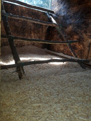 pollaio4.jpg (127.17 KiB) Osservato 720 volte pollaio4.jpg