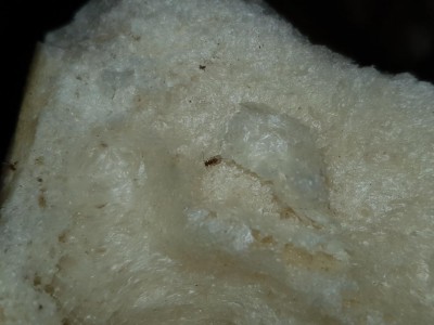 20190927_192538.jpg (69.8 KiB) Osservato 595 volte 20190927_192538.jpg