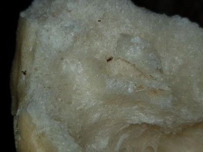 20190927_192523.jpg (64.01 KiB) Osservato 595 volte 20190927_192523.jpg