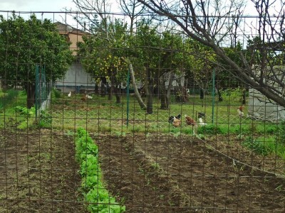 IMG_20200327_115907.jpg (230.49 KiB) Osservato 695 volte IMG_20200327_115907.jpg