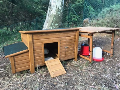 BA9C316A-E775-48C6-8E04-456EA969B603.jpeg (185.24 KiB) Osservato 786 volte BA9C316A-E775-48C6-8E04-456EA969B603.jpeg