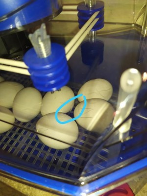 WhatsApp Image 2020-05-26 at 14.07.21.jpeg (69.21 KiB) Osservato 799 volte WhatsApp Image 2020-05-26 at 14.07.21.jpeg