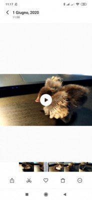 c74be79f-2f92-4d00-b645-c1bd11d859bd.jpg (32.28 KiB) Osservato 454 volte c74be79f-2f92-4d00-b645-c1bd11d859bd.jpg