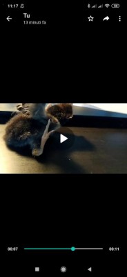 4d13b946-aca3-4601-ad92-a5b4ecc9ee41.jpg (23.37 KiB) Osservato 454 volte 4d13b946-aca3-4601-ad92-a5b4ecc9ee41.jpg