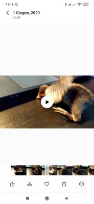 fb054718-5b7f-4d73-8349-51f8b8076ccc.jpg (31.84 KiB) Osservato 454 volte fb054718-5b7f-4d73-8349-51f8b8076ccc.jpg