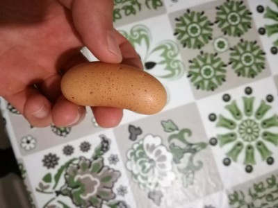 IMG_20200612_213059.jpg (65.64 KiB) Osservato 443 volte IMG_20200612_213059.jpg