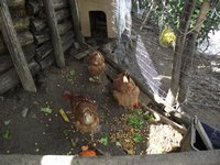 200_Immagine 334.jpg 200_Immagine 334.jpg