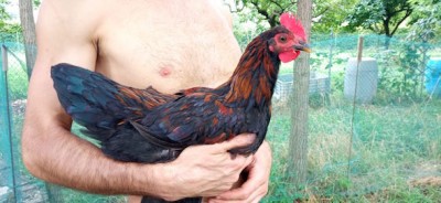 2 settimane fa' / IMG-20210803-WA0023.jpg IMG-20210803-WA0023.jpg