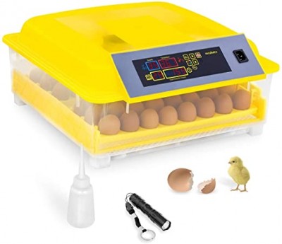 Incubatrice per Uova Automatica IN-48DDI.jpg (20.2 KiB) Osservato 523 volte Incubatrice per Uova Automatica IN-48DDI.jpg