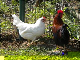 Bianca.jpg Bianca.jpg