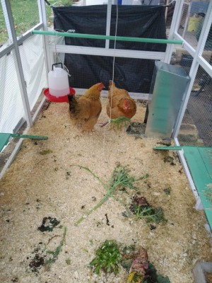 IMG_20240301_085909.jpg (152.11 KiB) Osservato 787 volte IMG_20240301_085909.jpg