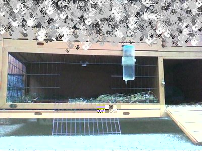 image201104280004_2.jpg (65.23 KiB) Osservato 931 volte image201104280004_2.jpg