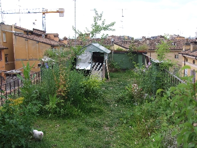 DSCF3488.jpg DSCF3488.jpg