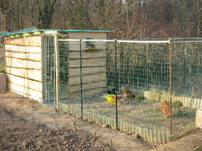 IMG_4802.JPG (64.02 KiB) Osservato 20005 volte IMG_4802.JPG