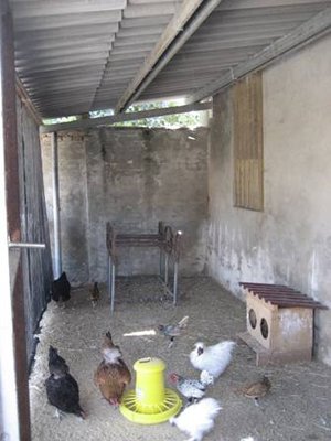 pollaio a.JPG (26.37 KiB) Osservato 11686 volte pollaio a.JPG