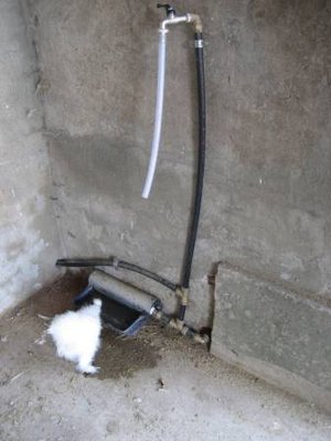 pollaio b.JPG (22.58 KiB) Osservato 11850 volte pollaio b.JPG