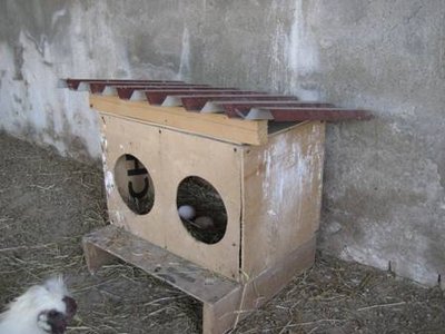 pollaio c.JPG (26.36 KiB) Osservato 11850 volte pollaio c.JPG