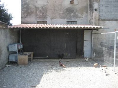 pollaio d.JPG (25.31 KiB) Osservato 11850 volte pollaio d.JPG
