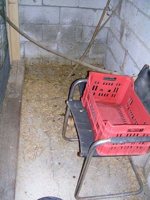 pollaio in allestimento ora ci nono solo polletti e anatre mute di 2 mesi al lato c'è la porta per l'ingresso interno / DSCN1548.JPG DSCN1548.JPG