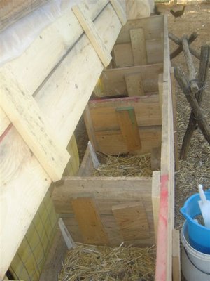 Nidi Pollaio N.1 / Nidi Pollaio N.1.JPG Nidi Pollaio N.1.JPG