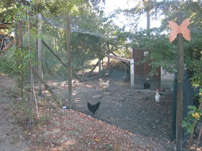 primo recinto / a primo recinto - IMG_1671.jpg a primo recinto - IMG_1671.jpg