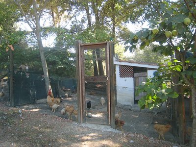 secondo recinto / c 2° recinto - IMG_1672.jpg c 2° recinto - IMG_1672.jpg