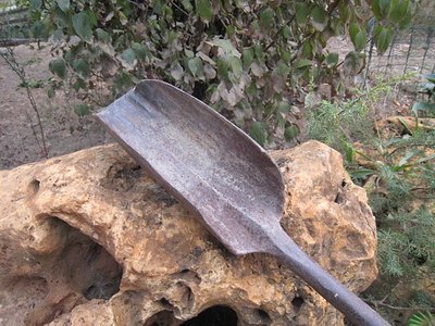 particolare parte superiore / cartocciaupIMG_2001.jpg cartocciaupIMG_2001.jpg