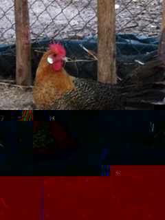 foto (20).JPG foto (20).JPG