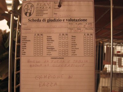 scheda di valutazione CIAN - CdR / schedacombinglantnanoIMG_2648.jpg schedacombinglantnanoIMG_2648.jpg