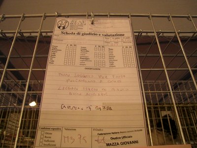scheda di valutazione Orpington Nana / schedaOrpingtonNanacdrIMG_2698.jpg schedaOrpingtonNanacdrIMG_2698.jpg