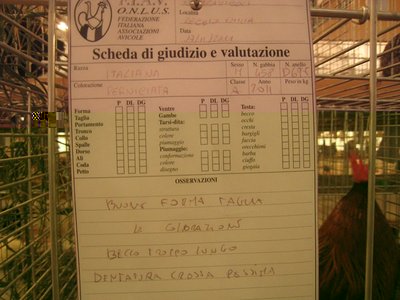 scheda di valutazione Italiana perniciata / schedaval.Mitalianapern.IMG_2719.jpg schedaval.Mitalianapern.IMG_2719.jpg