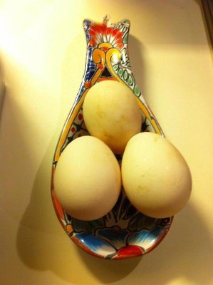 406331_2708586727329_1636662847_2399207_843263714_n.jpg (43.26 KiB) Osservato 677 volte 406331_2708586727329_1636662847_2399207_843263714_n.jpg