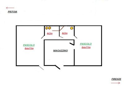 pianta pollaio2.jpg (16.12 KiB) Osservato 4602 volte pianta pollaio2.jpg